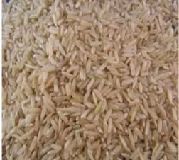 Pr11 Brown Rice Manufacturer Supplier Wholesale Exporter Importer Buyer Trader Retailer in Nagpur Maharashtra India
